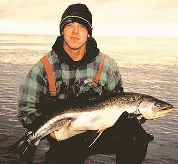 394_Dolly Varden_Salvelinus malma.jpg